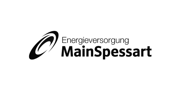 logo-evs
